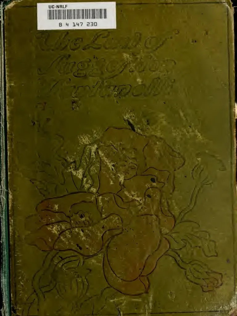 Santanelli the Law of Suggestion Hardcover Scan Hypnosis Thought