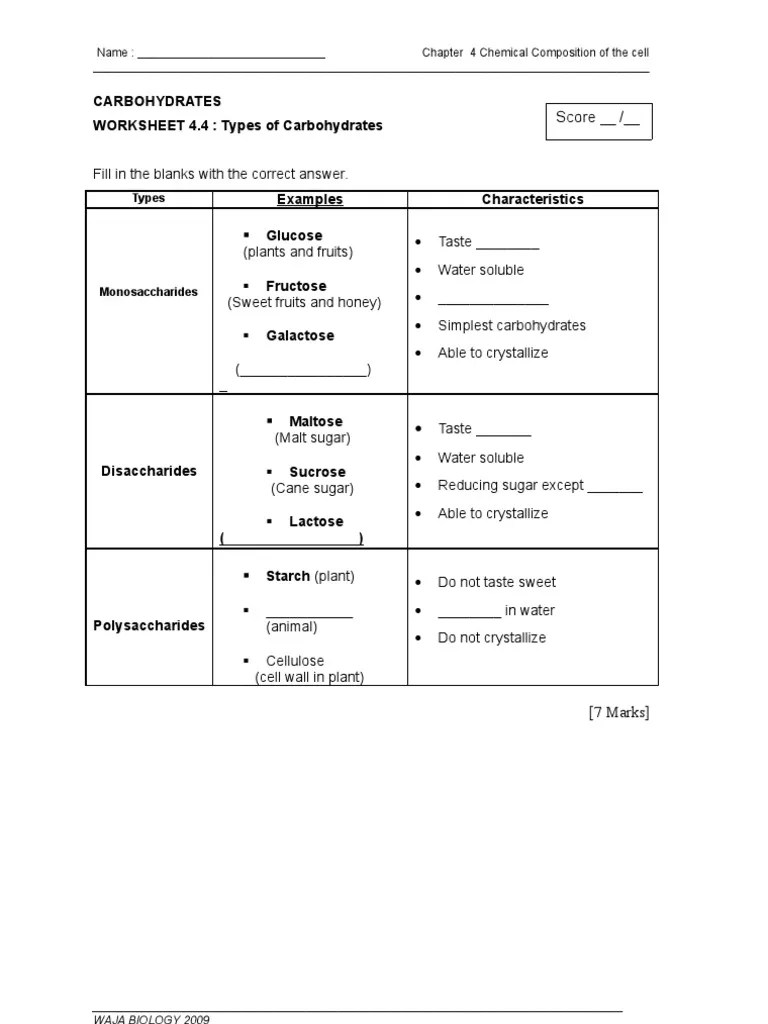 WORKSHEET 4.4 Types of Carbohydrates Carbohydrates Organic Compounds