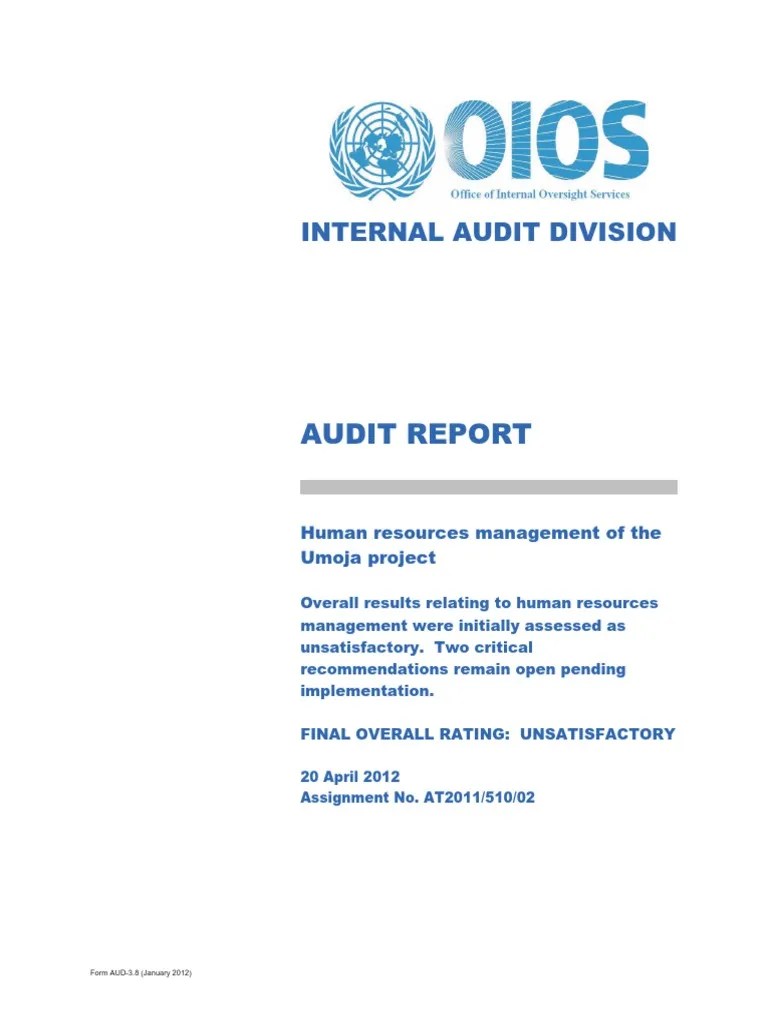 HR Audit Report PDF Audit Project Management
