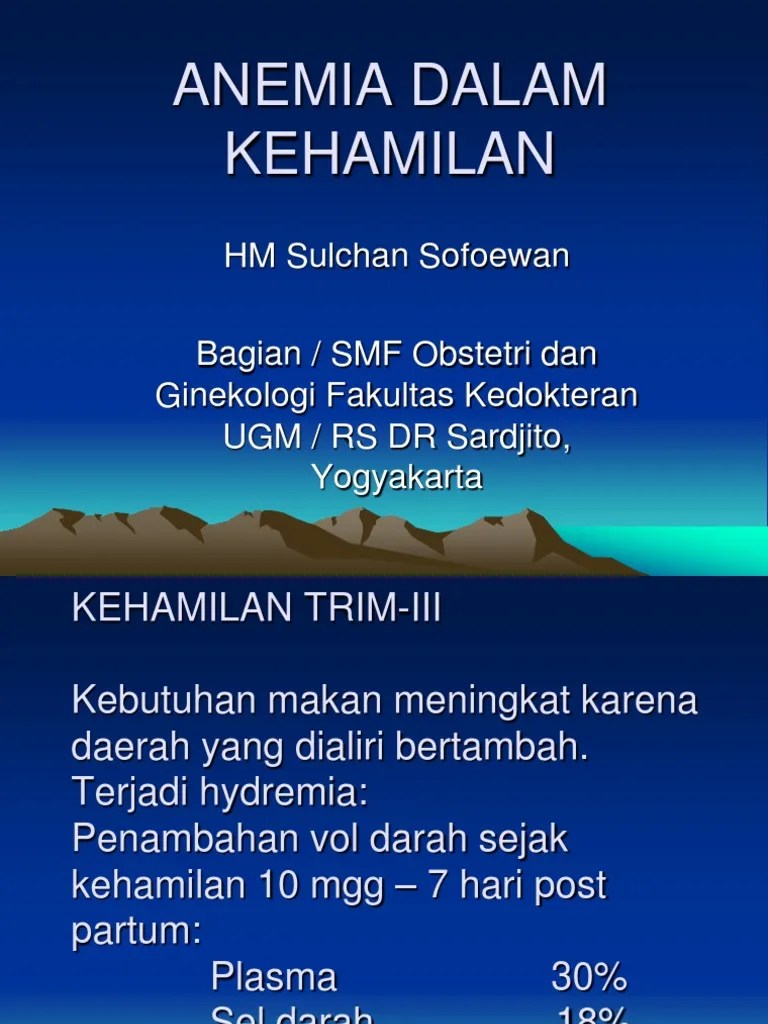 ANEMIA DALAM KEHAMILAN 300309.ppt