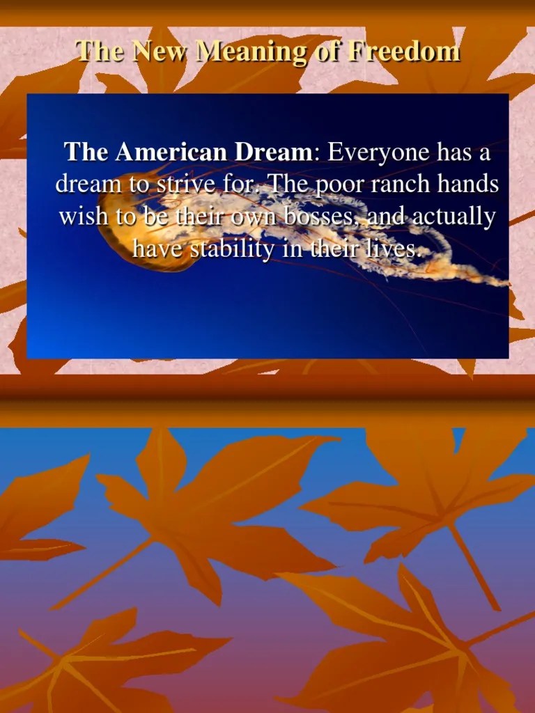 The New Meaning of Freedom The American Dream Everyone Has A PDF American Dream
