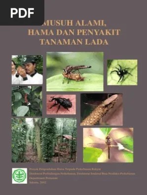 Predator Dan Parasitoid PDF | PDF