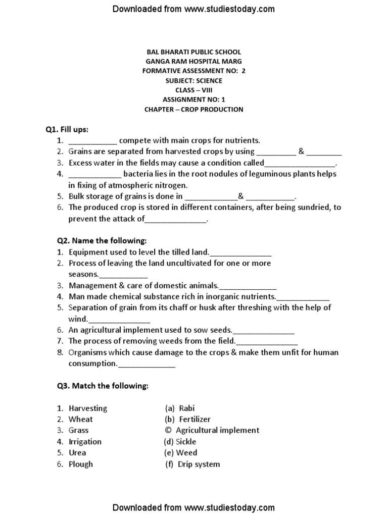 CBSE Class 8 Science Worksheet (1) Fertilizer Nitrogen