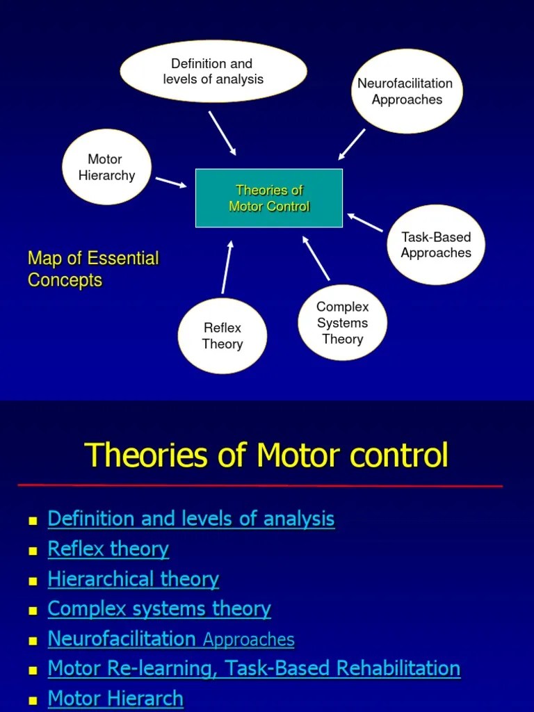 Motor Control theories Motor Control Central Nervous System