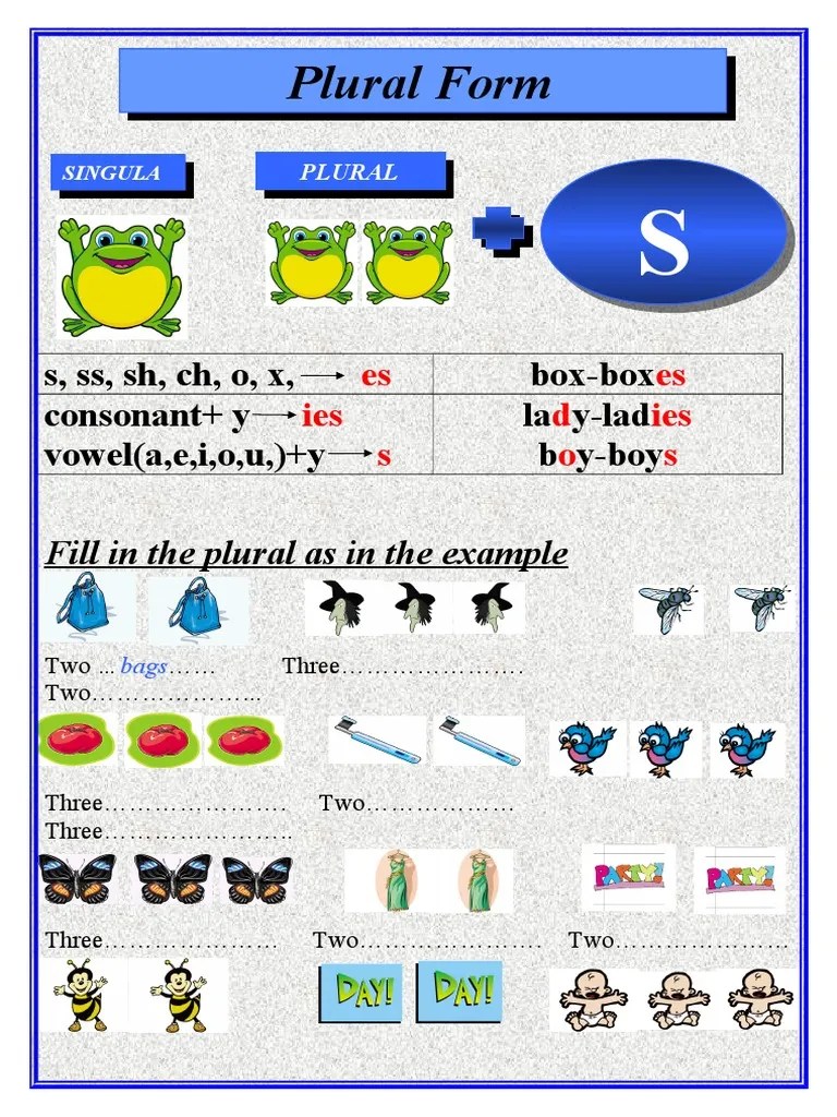 Plural Form S, SS, SH, CH, O, X, BoxBox Consonant+ y Vowel (A, E, I