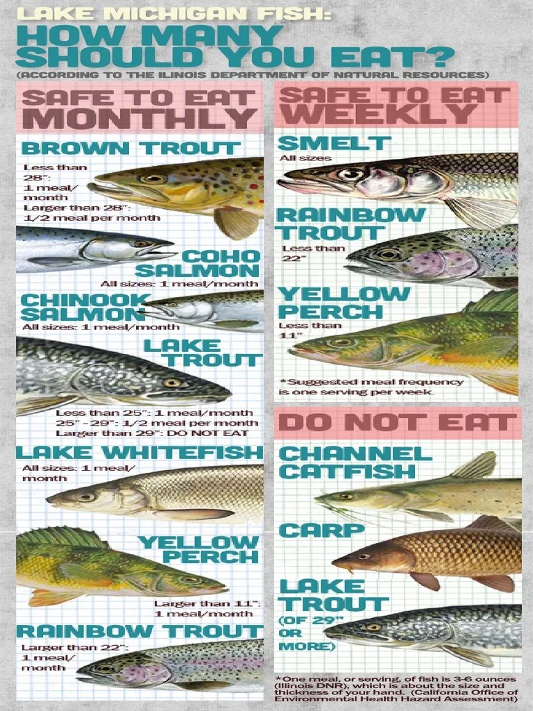 Eating Fish from Lake Michigan Guidelines PDF