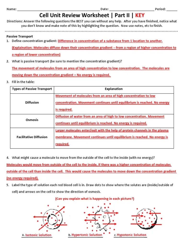 Cell Unit Review Worksheet Part II KEY 20132014 PDF Vesicle