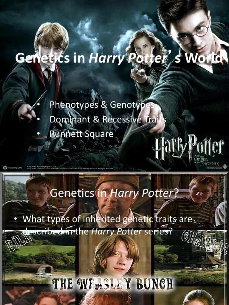 Harry Potter Ppt Dominance Allele