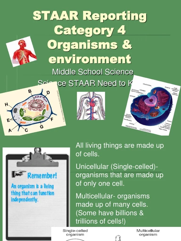 8th Grade Science Staar Category 4 PDF Cell (Biology