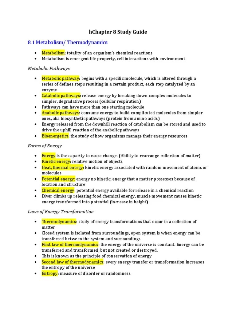 Chapter 8 Study Guide ap bio Enzyme Enzyme Inhibitor