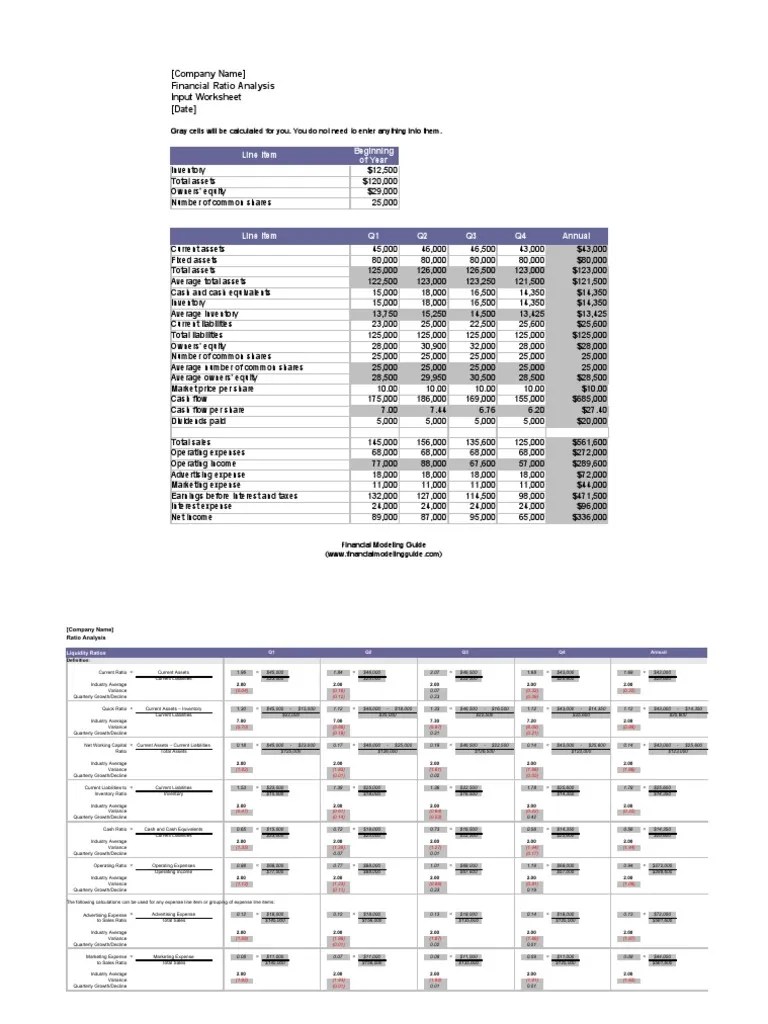Financial Ratio Analysis Best Template Equity (Finance) Dividend