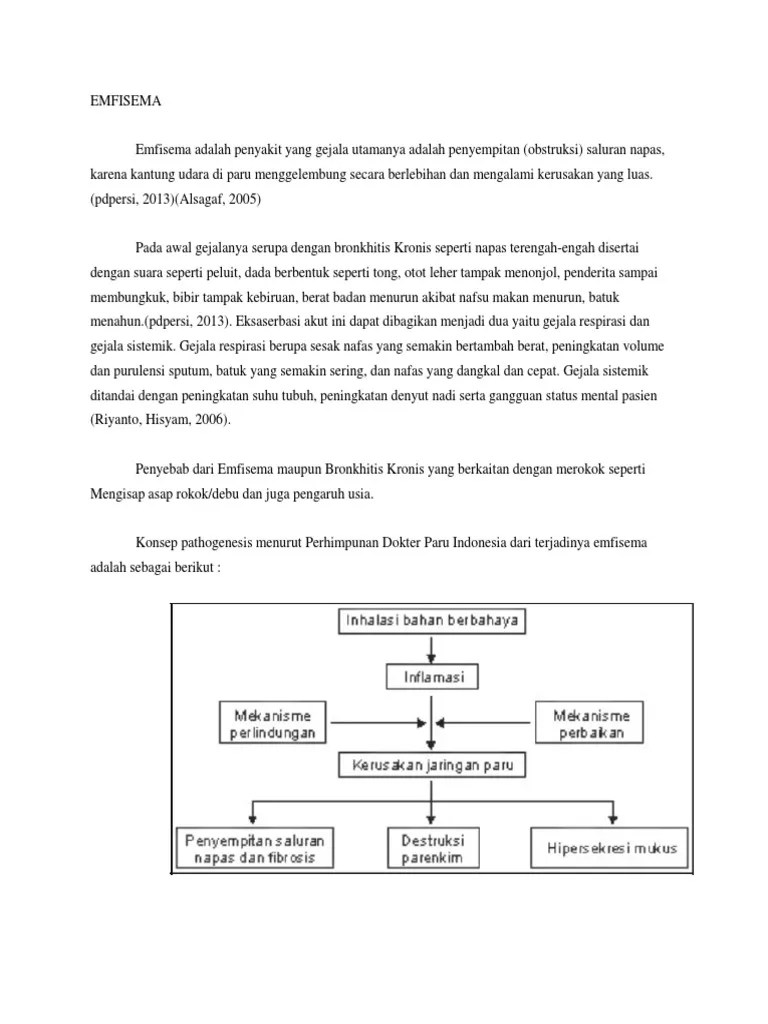 Emfisema Paru | PDF