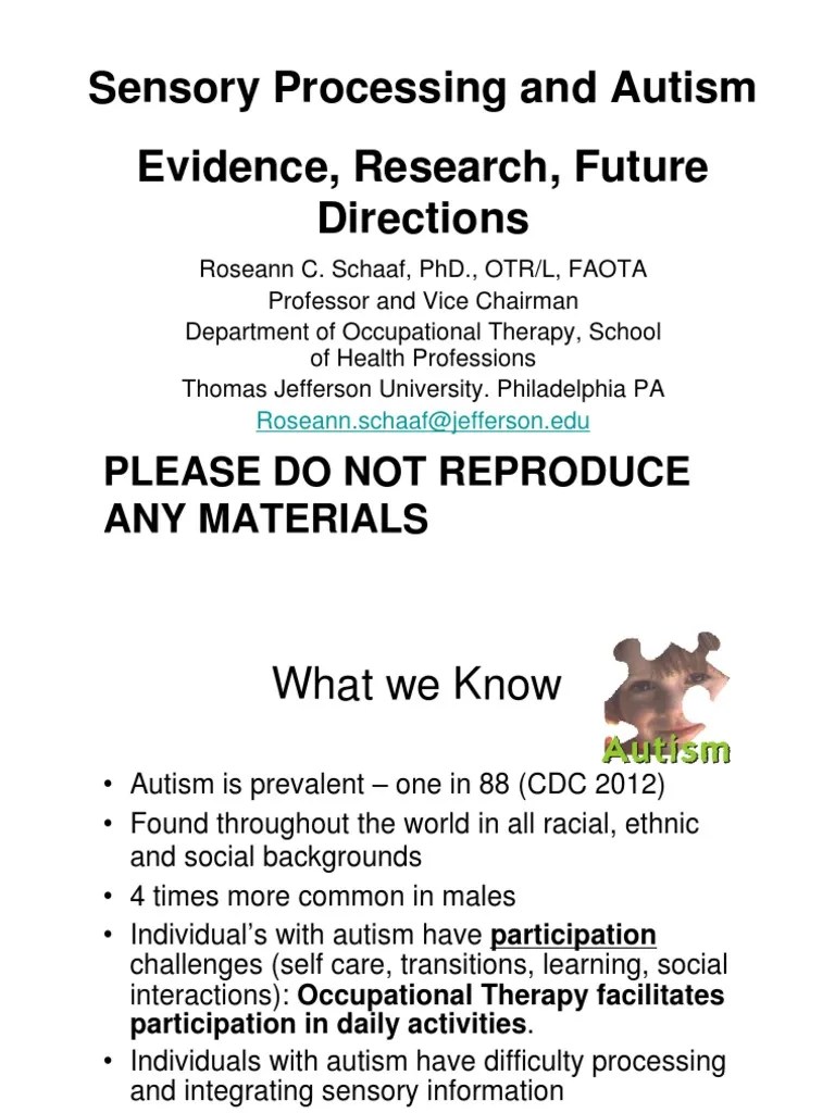 Sensory Processing and Autism Evidence Research Future Directions DR