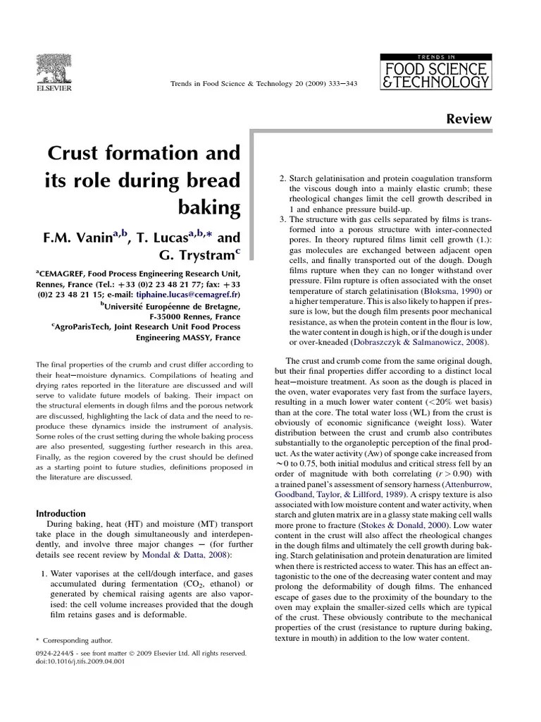 Crust Formation and Its Role During Bread Baking PDF Breads Rheology