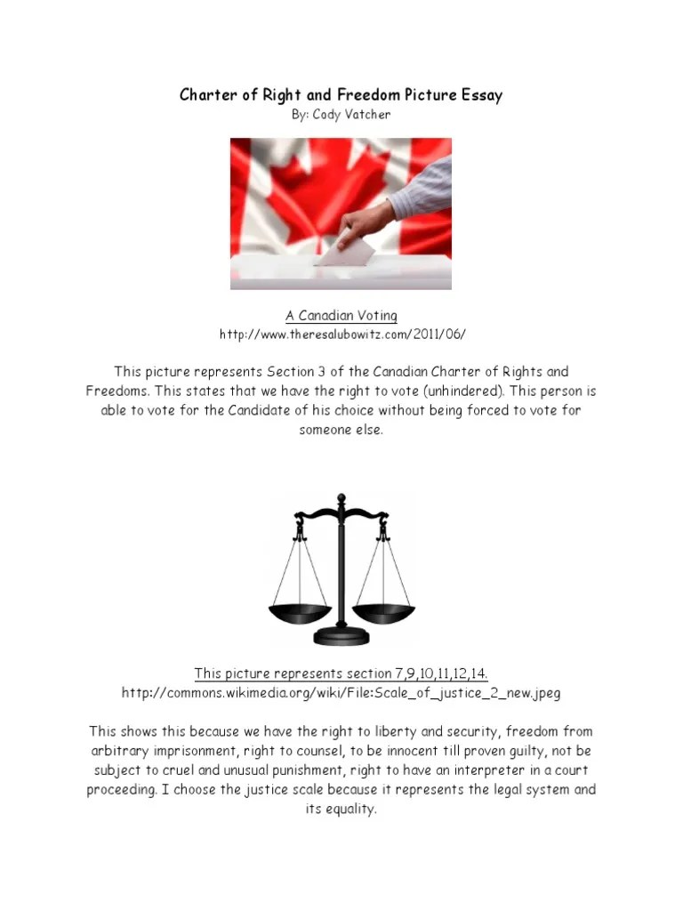 Charter of Right and Freedom Picture Essay PDF Libertarian Theory
