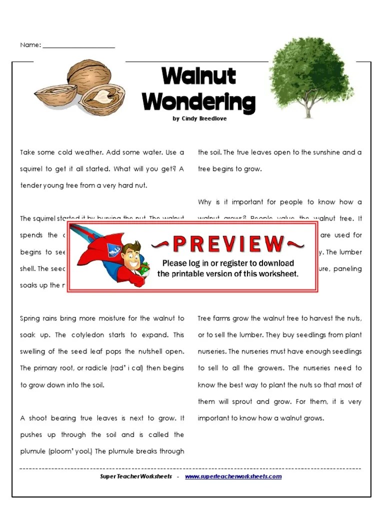 Walnut Wondering by Cindy Breedlove PDF Seedling Non Timber