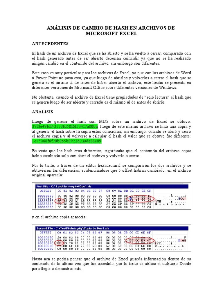 Analisis Hash Excel Microsoft Excel Archivo de computadora