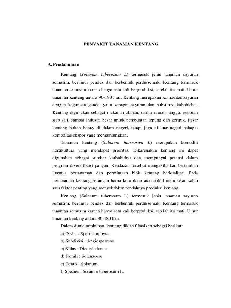 Hama Dan Penyakit Pada Kentang