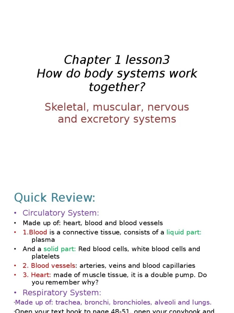 Gr.5How Do Body Systems Work Together PDF Blood Skeleton