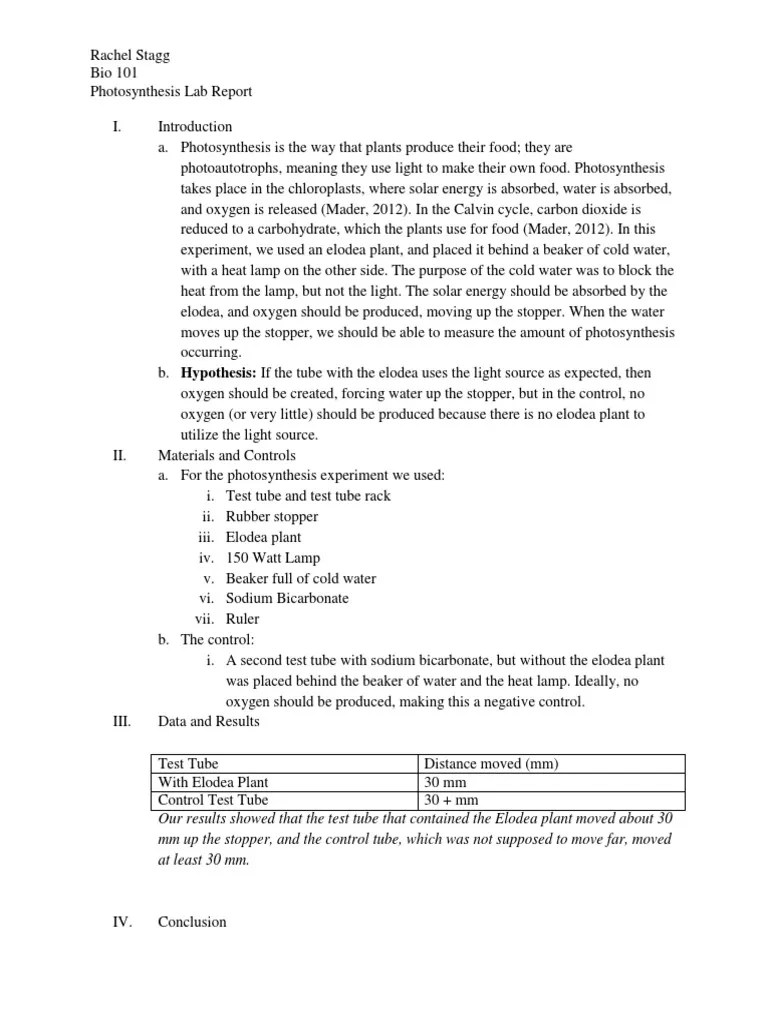 Photosynthesis Lab Report Photosynthesis Scientific Control