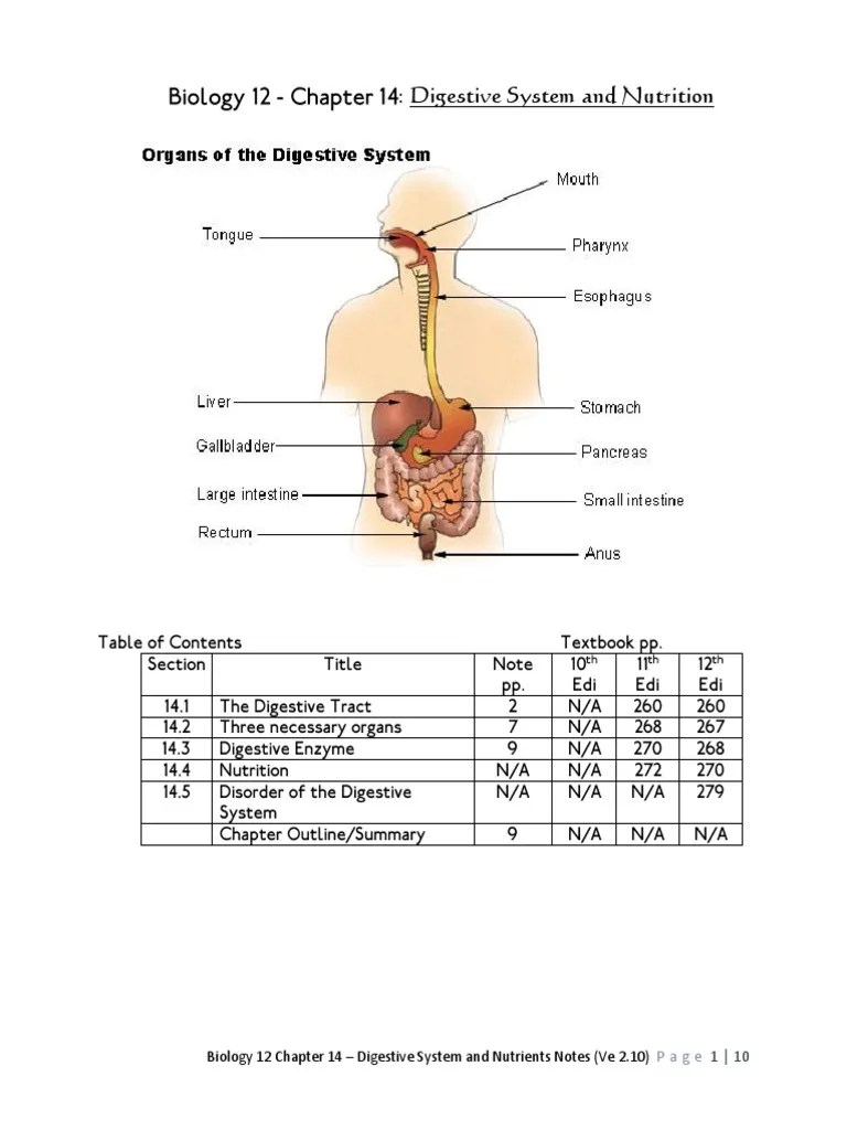 BIO 12 Chapter 14 Digestive System Human Digestive System Digestion