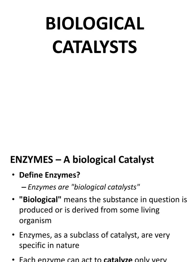 Biological Catalysts (13) Hydrolysis Enzyme