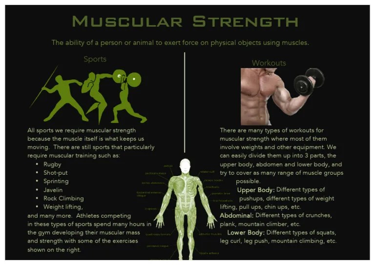 Muscular Strength Sports Workouts PDF