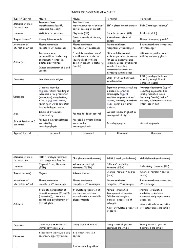 Endocrinology Endocrine System Review Sheet Hormona Cortisol