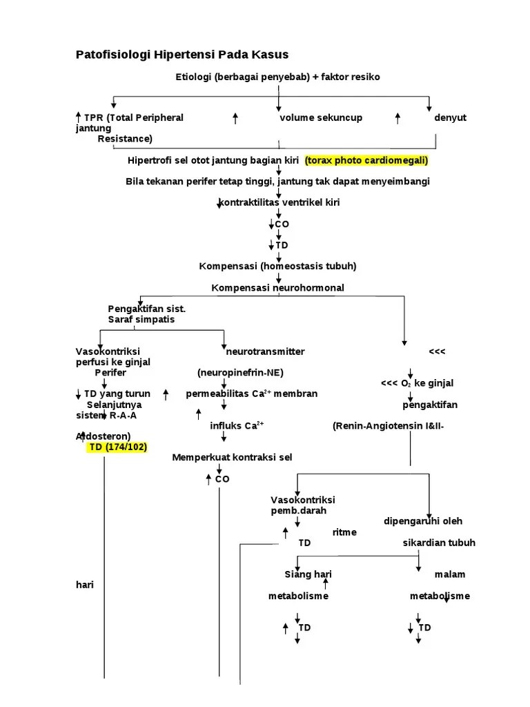 Patofisiologi Hipertensi Pada Kasus