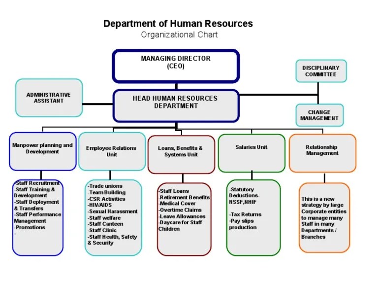 Human Resource Department Org Chart PDF Human Resources Labor