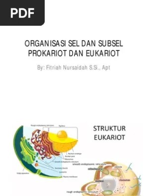 Organisasi Sel Dan Subsel | PDF