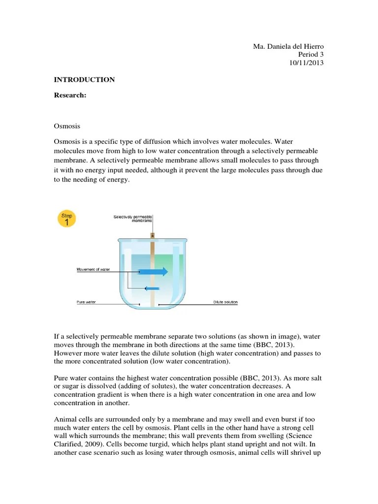 lab report osmosis Osmosis Chemistry