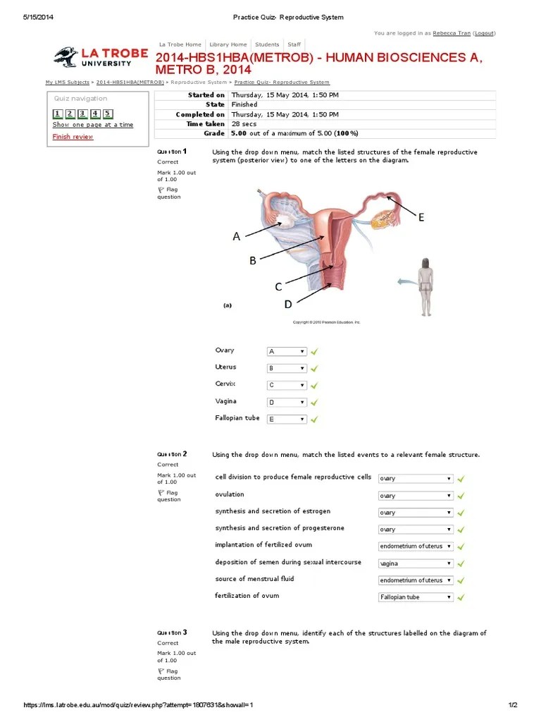 Practice Quiz Reproductive System Reproductive System Ovary Free