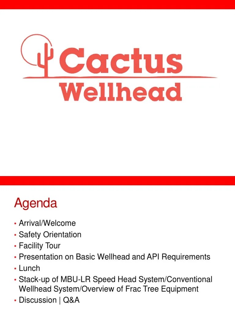 Cactus Wellhead Presentation