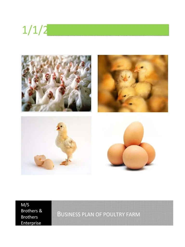 Business Plan of Poultry Farm PDF Entrepreneurship Business