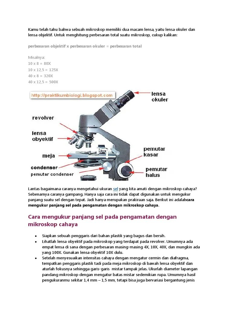 Cara Mengukur Perbesaran Mikroskop | PDF