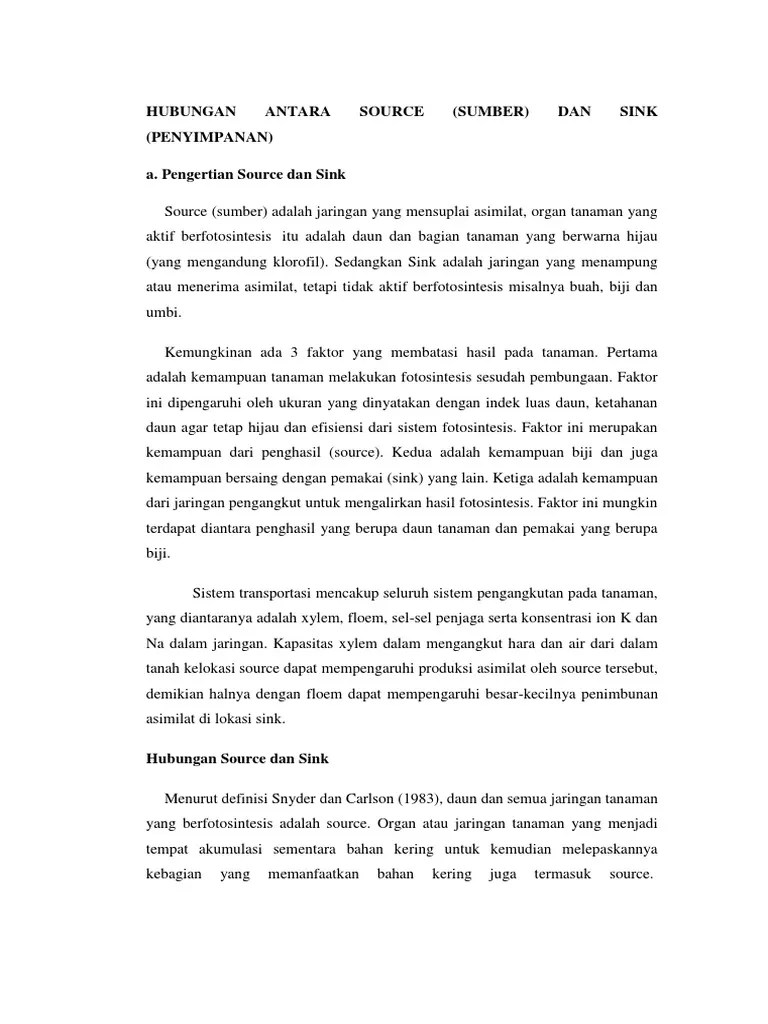 Hubungan Antara Source Dan Sink | PDF