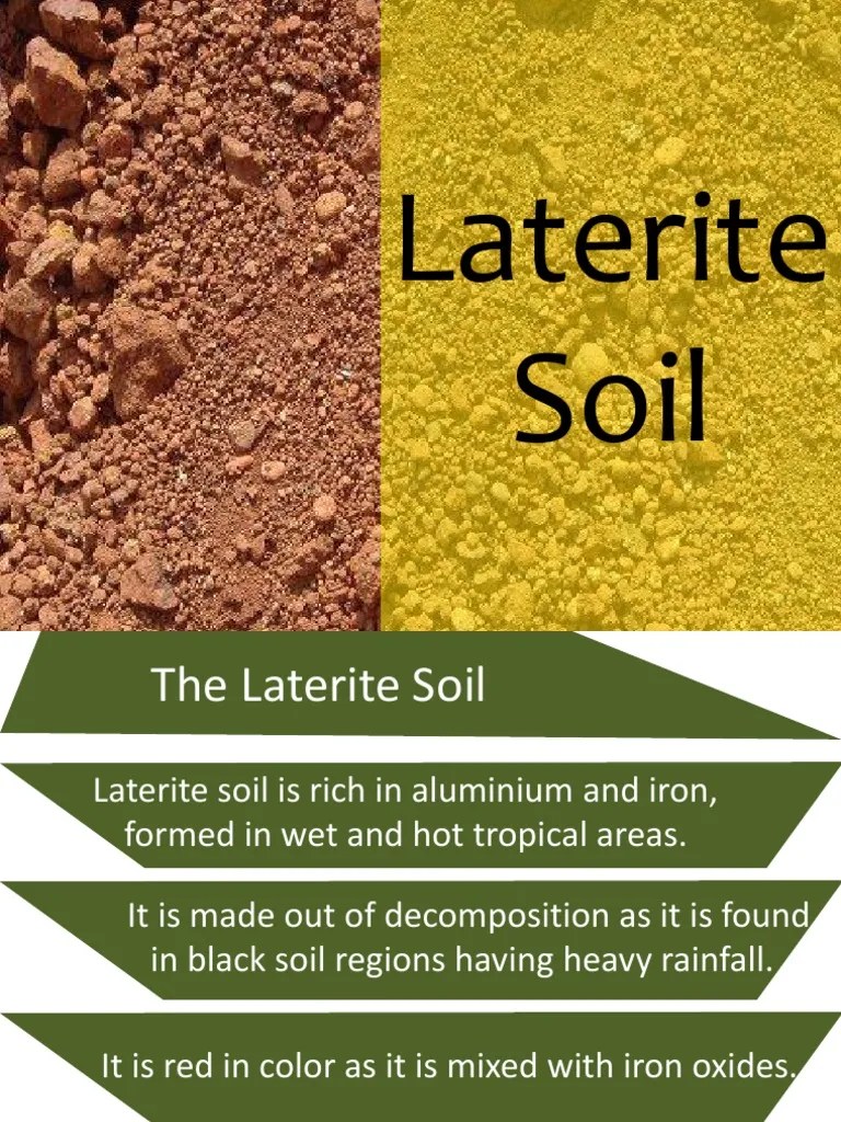 Laterite Soil