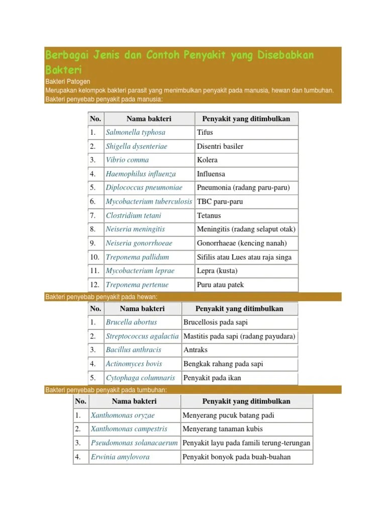 Berbagai Jenis Dan Contoh Penyakit Yang Disebabkan Bakteri | PDF