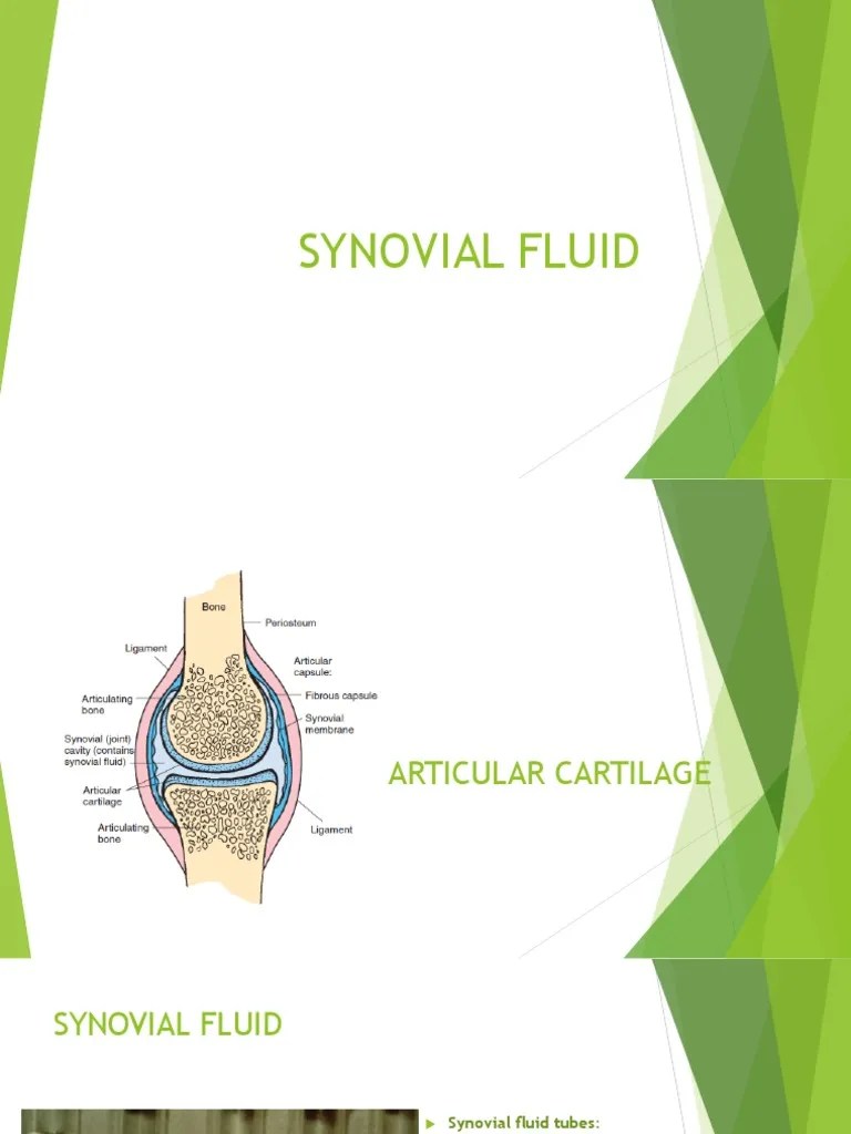 Synovial Fluid