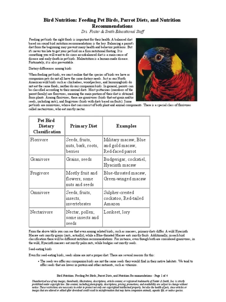 Bird Nutrition Feeding Pet Birds Parrot Diets and Nutrition