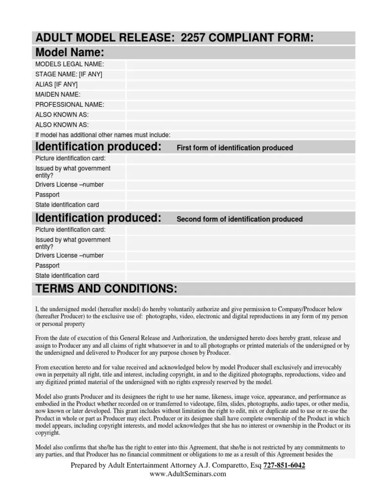Model Release Form Good One Clips4sale Identity Document Copyright