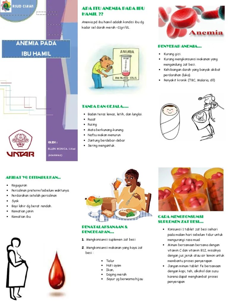 Leaflet (Anemia Pd Ibu Hamil)
