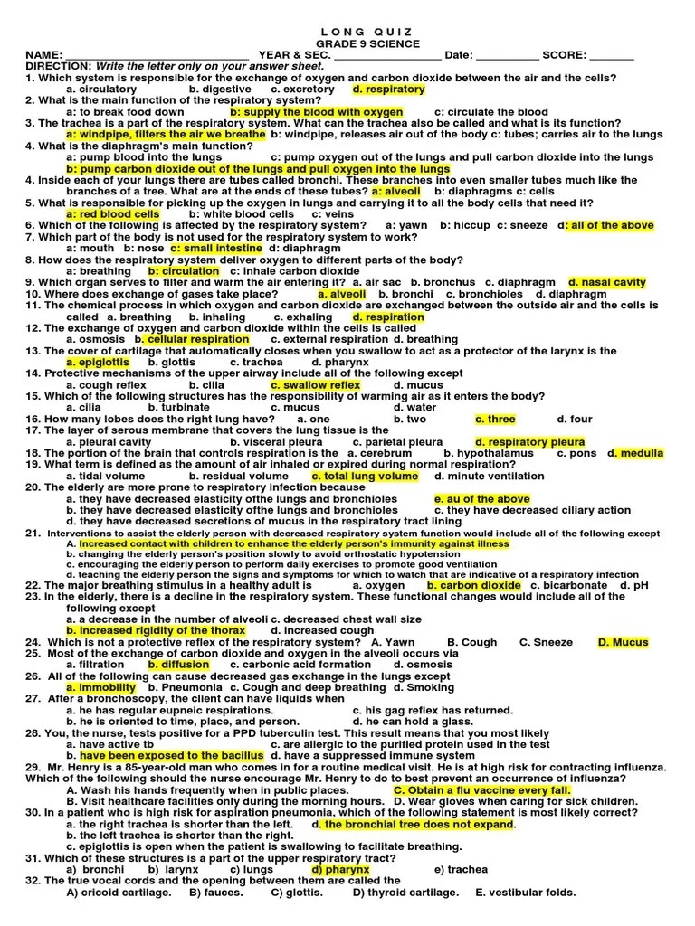 Respiratory System Quiz The Biology Corner