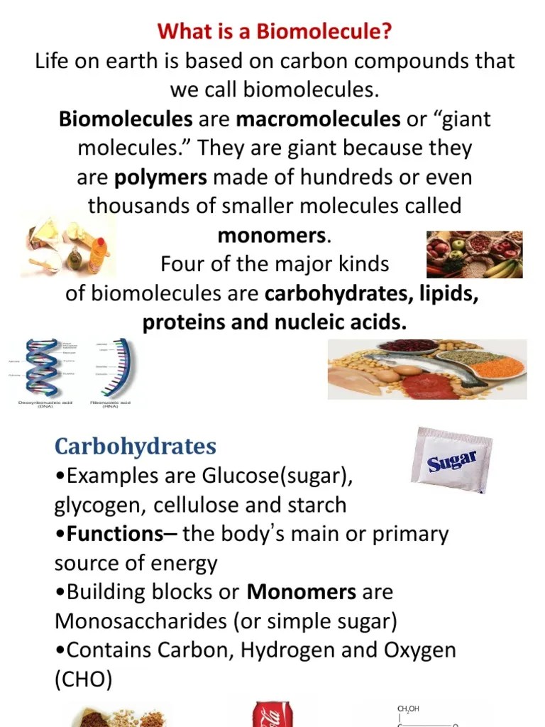 Biomolecules are macromolecules or “giant What is a Biomolecule?