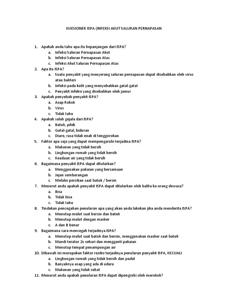 Kuesioner Ispa