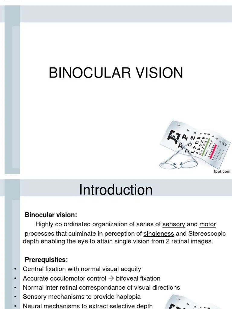 Binocular Vision Visual Perception Visual System