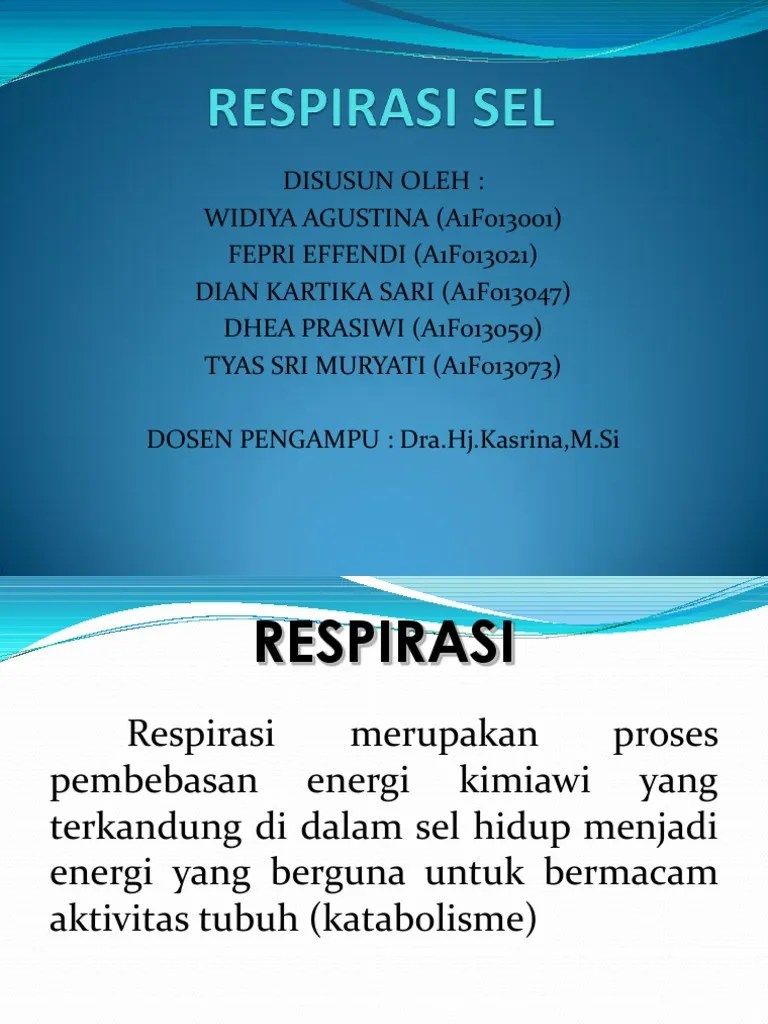 139965651RespirasiSel.ppt