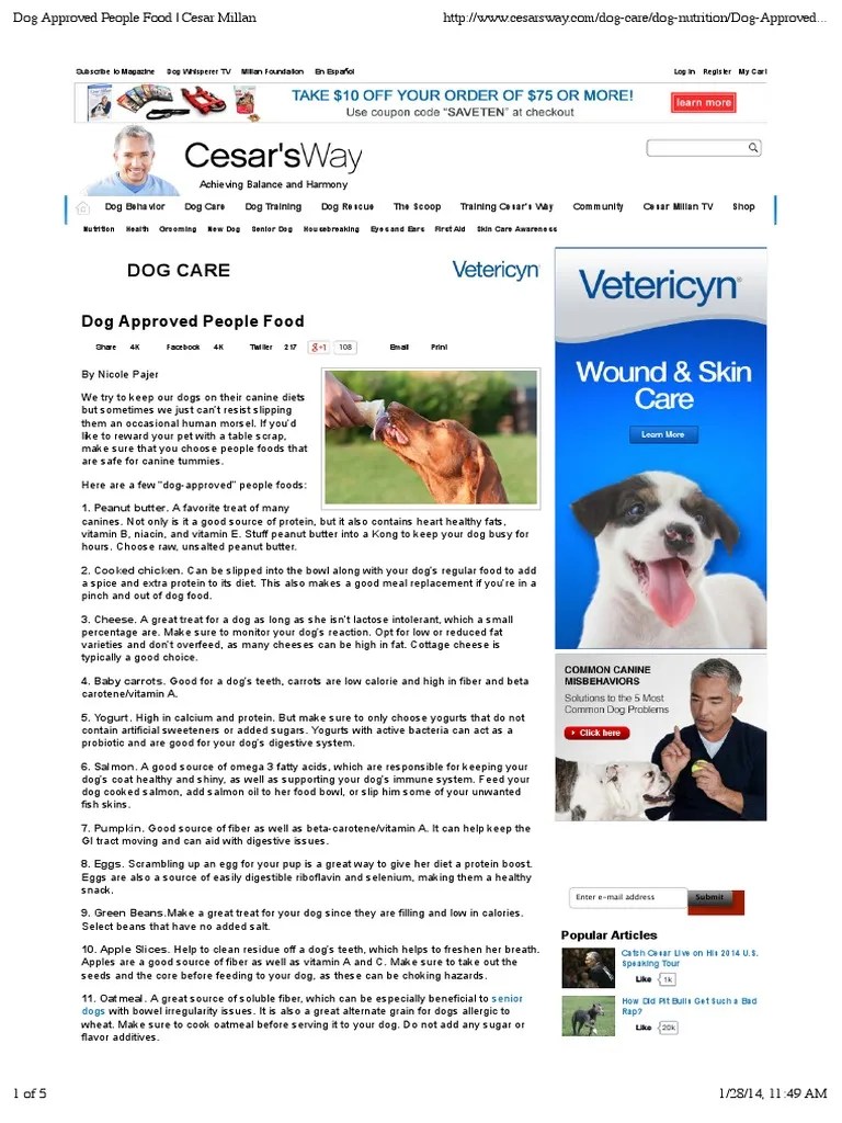 Dog Approved People Food Cesar Millan Dogs Dietary Fiber
