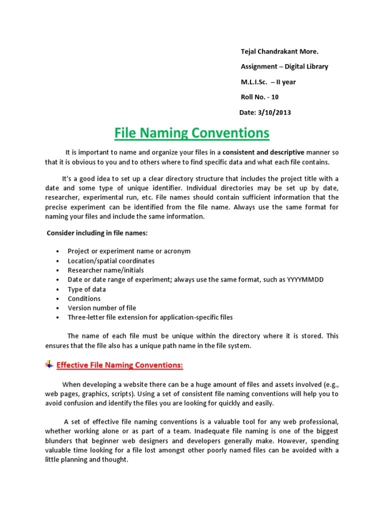 The Purpose of File Naming Conventions Filename Computer File